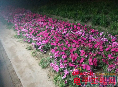 nubia X6�Ա�Z5Sȫ���ռ����⣨��ͼ��