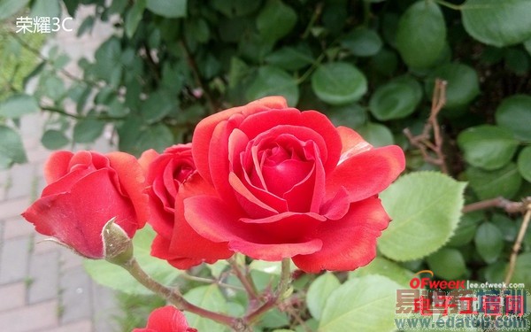 ��Ϊ��ҫ3C/���˺�ţ�Ա����⣺˭�����С�ף�