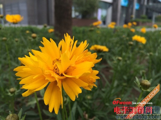 一周热评汇:一加手机/小米平板/小米电视2(上篇)