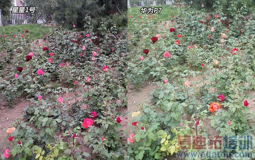 ����1��/��ΪP7�Ա����� �ѻ���С��3S��ͼ��