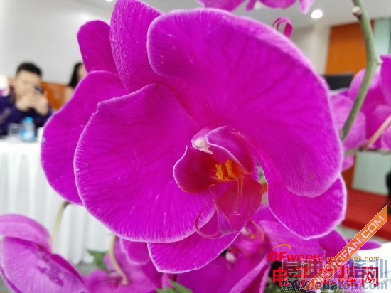 ��ΪP7ȫ�����⣨��ͼ+��Ƶ��