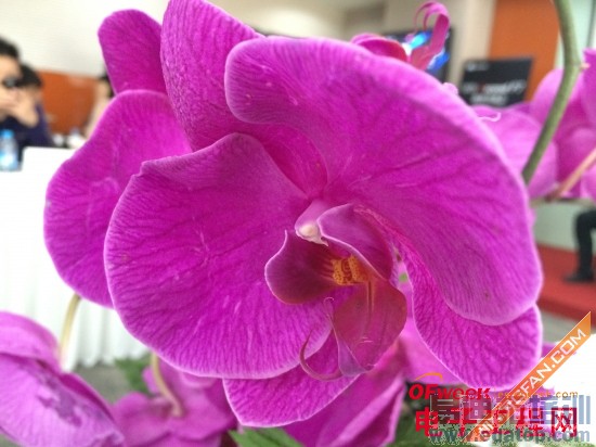 ��ΪP7ȫ�����⣨��ͼ+��Ƶ��