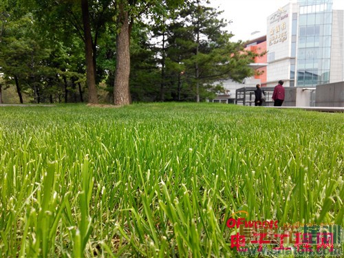 100+�������ֻ���ϸ���⣨��ͼ��