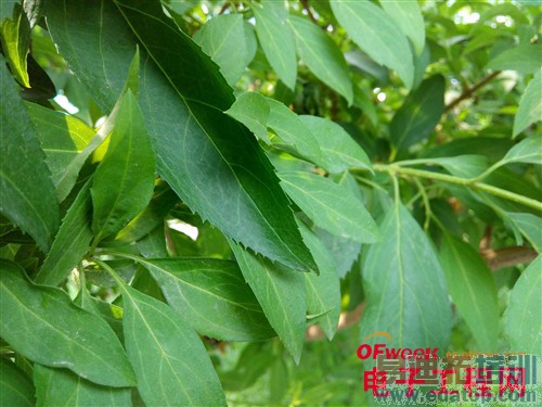 100+�������ֻ���ϸ���⣨��ͼ��