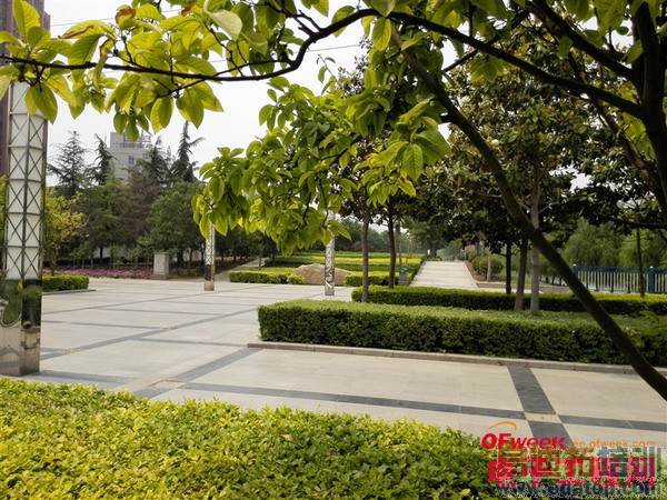 ��ΪP7��P6��ϸ�Ա����⣨��ͼ��