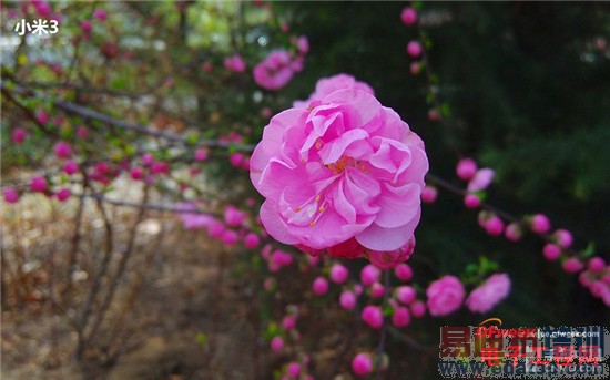 �Ա����⣺�������VSС��3 ��ǿ