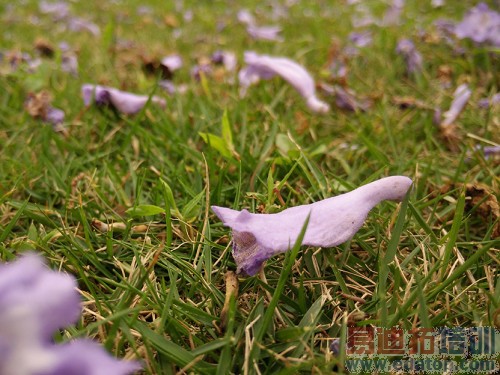 һ���ֻ����+���⣺