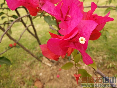 һ���ֻ����+���⣺