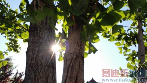 ��ΪP7�׷����⣨ͼ+��Ƶ��