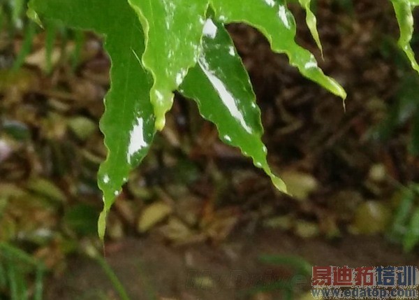 һ���ֻ�������⣨��ͼ��