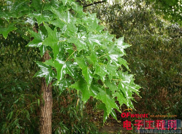 һ���ֻ�������⣨��ͼ��