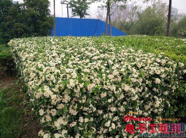 һ���ֻ�������⣨��ͼ��