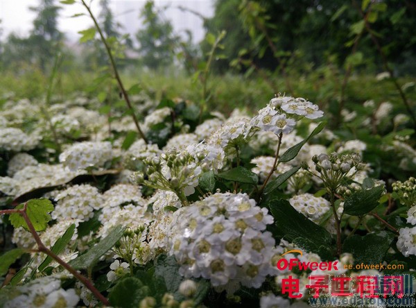 һ���ֻ�������⣨��ͼ��