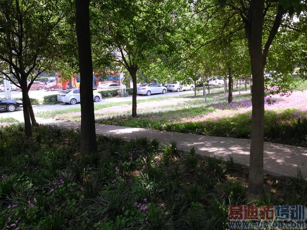 索尼Xperia T2 Ultra详细评测(多图)