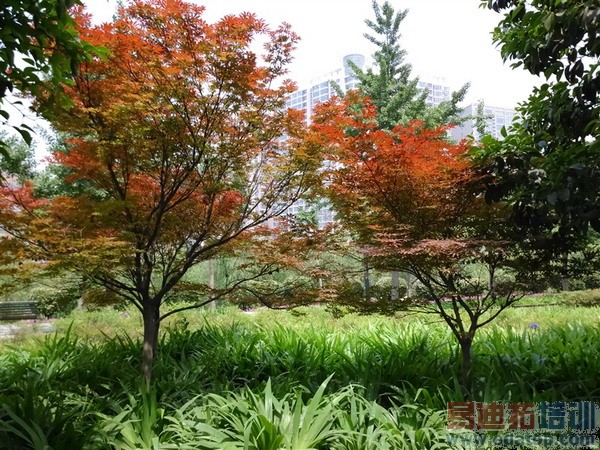 索尼Xperia T2 Ultra详细评测(多图)