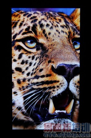 һ���ֻ��ռ����⣨��ͼ��