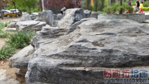 ����֮����HTC M8ս����S5�Ա����⣨ͼ��