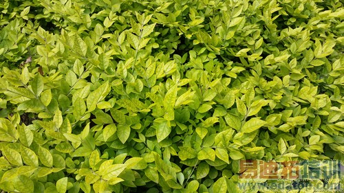 ����֮����HTC M8ս����S5�Ա����⣨ͼ��