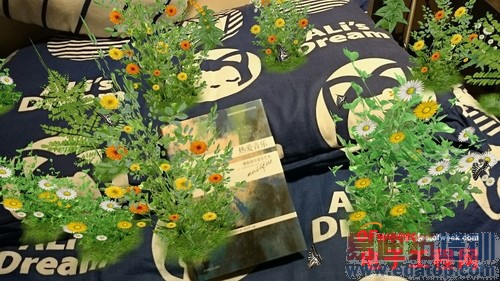 ��Ϊ��ҫX1/����Z2�Ա����⣺