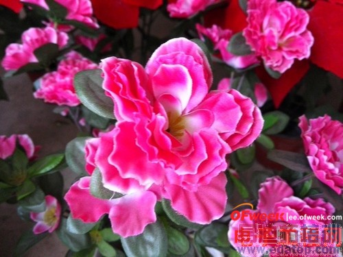 ��Ϊ��ҫX1/����Z2�Ա����⣺