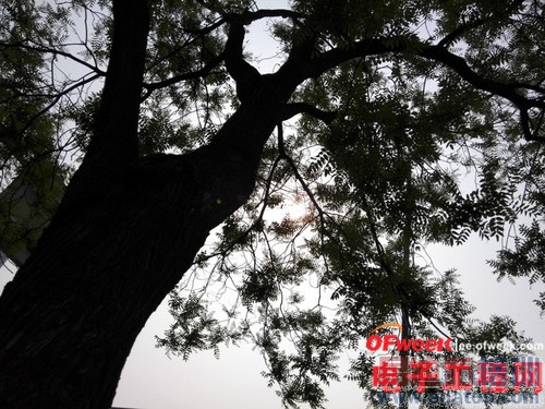 ��Ϊ��ҫX1/����Z2�Ա����⣺