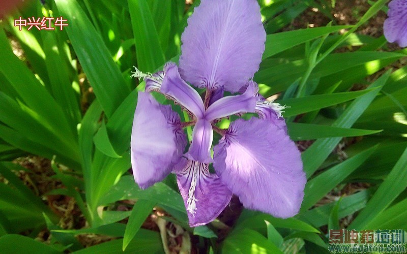 �Ա����⣺���˺�ţ��ɱ����Note����ͼ��