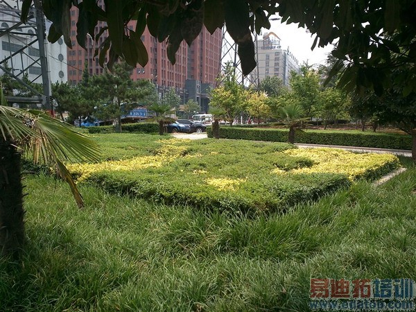 5.2���콢vivo Xshotȫ�����⣨��ͼ��