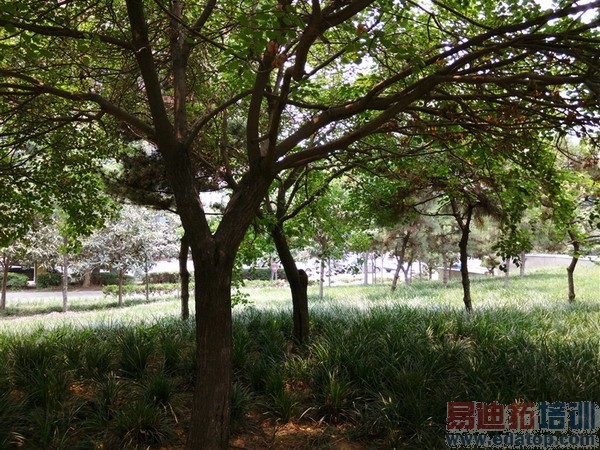 5.2���콢vivo Xshotȫ�����⣨��ͼ��