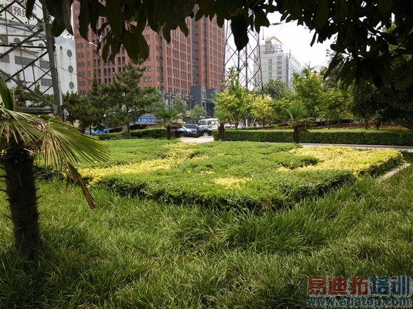 5.2���콢vivo Xshotȫ�����⣨��ͼ��