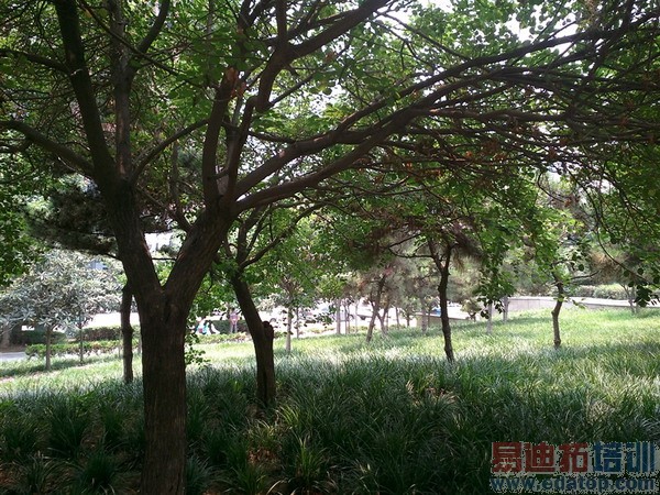 5.2���콢vivo Xshotȫ�����⣨��ͼ��