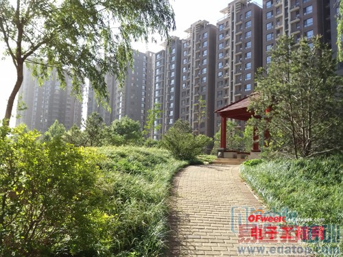 �Ա����⣺�����ֻ�PKС��3/��ΪP7 ȫ��ڶ��˵�������