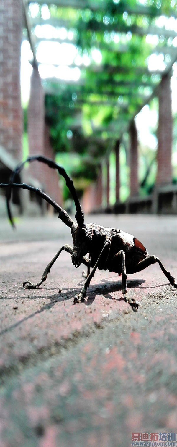 �����������׵�ǧԪ�� ��Ϊ��ҫ3C 4G������