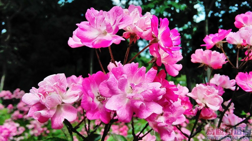 �����������׵�ǧԪ�� ��Ϊ��ҫ3C 4G������