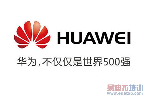 ������ҫDNA����Ϊ���� �ϳ�С��