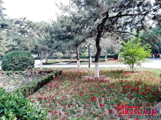 ��Ϊ��ҫ3C 4G�����⣺����һ��4G����