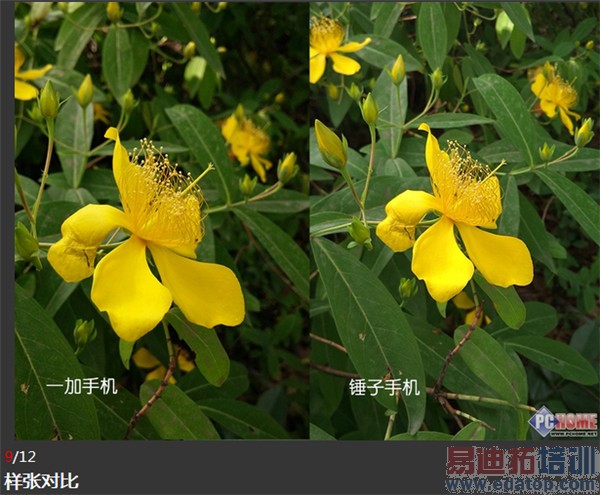 �Ա����⣺�����ֻ�vsһ���ֻ� 