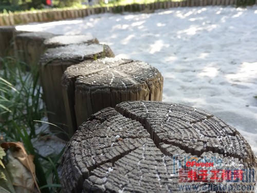 �����ֻ�T1/С��3�ռ��Ա����⣺