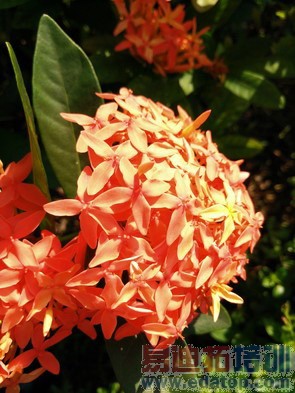 ��ҫ6�Ա�һ��