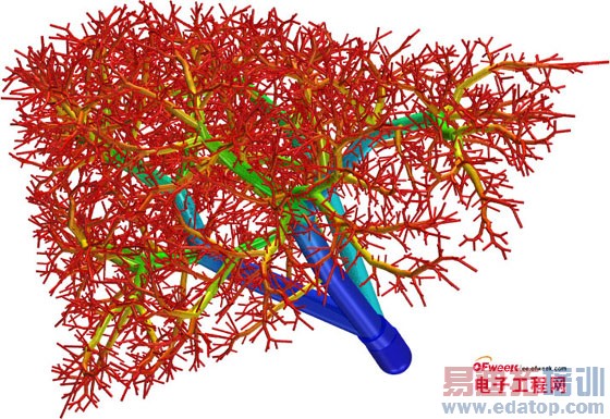 3D��ӡ�����������о���Ա����3D��ӡ���������˹�Ѫ��