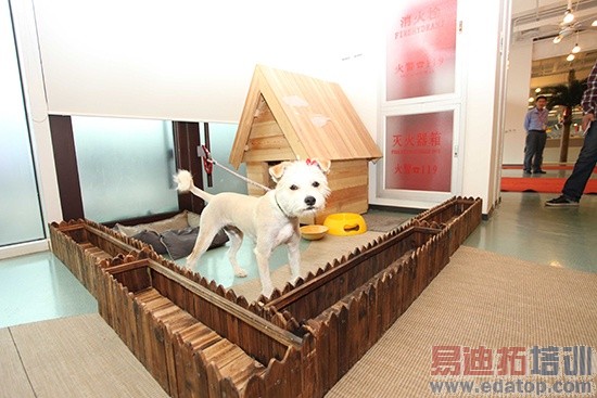 С�׺�̨���ʼǣ�С��֮���Գɹ� ϸ�ھ���һ��