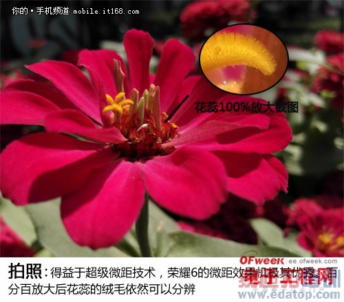 ��Ϊ��ҫ��Ʒ����㣺��ҫ6+��ҫ��������ͼ��