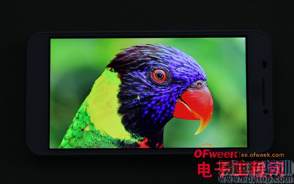 1799���������ɫ����ϸ���⣨��ͼ��