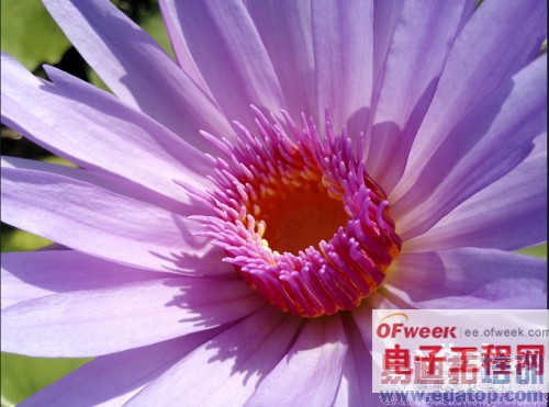 Ҫ�Ż㣺С��3S��ҫ6�ռ�����/��˼����