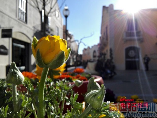 Ԥ�㲻����ʲô?2000Ԫ�������ֻ��Ƽ�