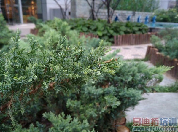 ���������� nubia Z7 Max����