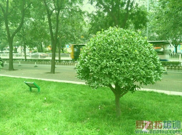 ���������� nubia Z7 Max����