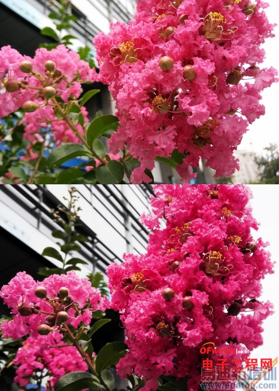 ��Ϊ��ҫ6/һ���ֻ��Ա����⣺С��4�����ռ�PK����С��4�����ع⣩