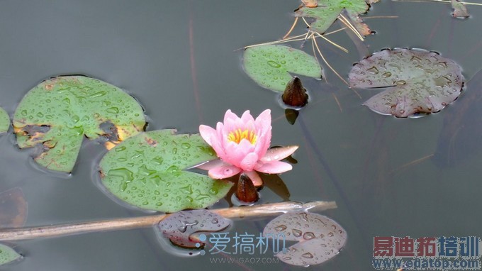 利剑出销:HTC One(M8)试玩评测(上)