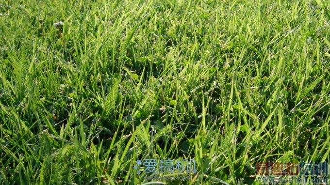 ����������HTC One(M8)�������⣨�ϣ�