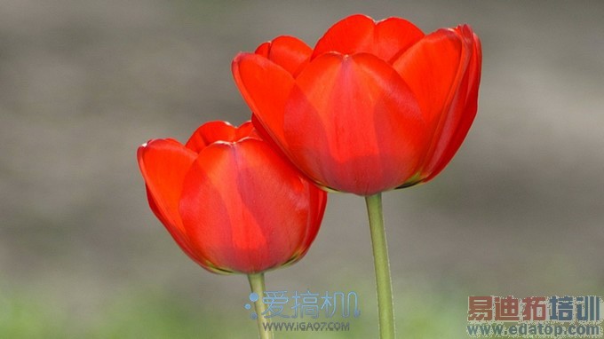 ����������HTC One(M8)�������⣨�ϣ�